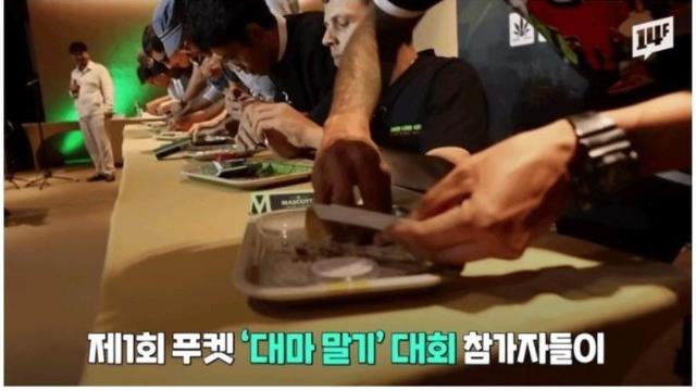 대마 합법된 태국의 고민