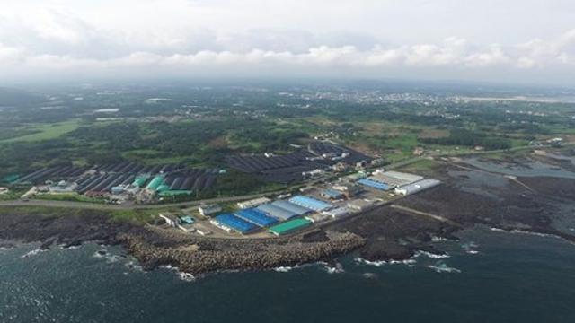 제주산 수산물 안전성 조사 강화한다