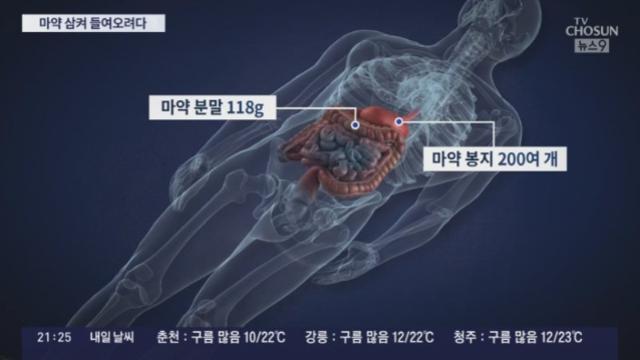 의외로 비행기 기내식 안먹으면 생기는 일