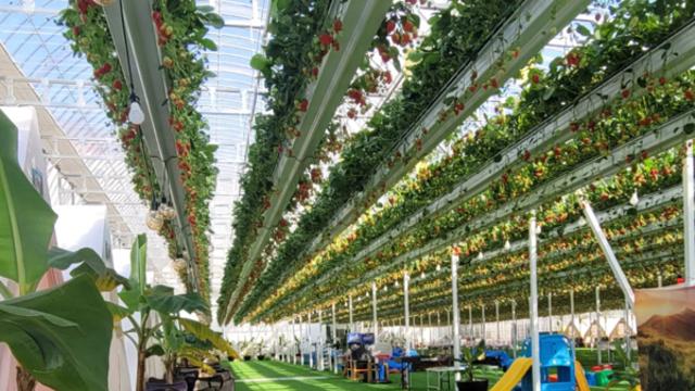 경기도 광주 가볼만한곳, 자연과 체험을 함께 즐기는 힐링 여행지는?