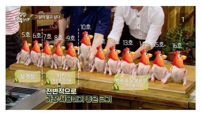 싱글벙글 치킨 박사 백종원
