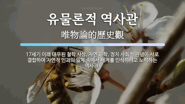 좌파사상에서 유래한 인터넷 문화