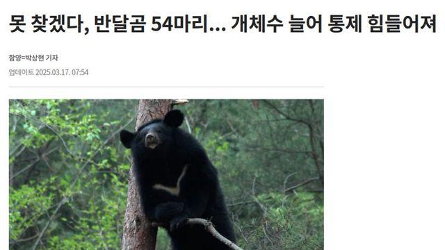 요즘 지리산이 ㅈㄴ 위험해진 이유