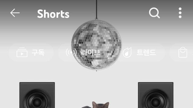 현대차 공식광고