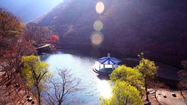 봄날 정읍 여행, 내장산과 향교에서 만끽하는 봄의 향연