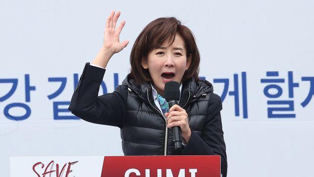 '헌재 압박' 나경원 