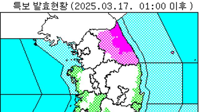 역대급 폭설 내리는 강원도 근황