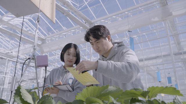 한국농업기술진흥원, 스마트팜 실증단지 입주기업 모집