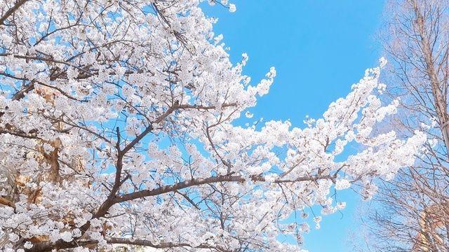 경주월드와 함께하는 경주 여행, 추천 명소는?