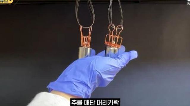 홍합 껍데기 위대했다, 대한민국 탈모인들 '환호'.jpg