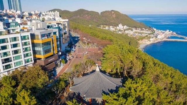 부산 해운대 가볼만한 곳, 볼거리 가득한 추천 명소는?