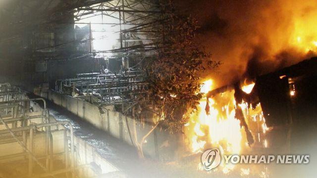 충남 아산 돈사서 화재…새끼돼지 450마리 폐사