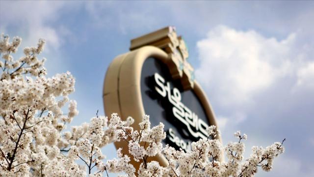 드라이브 스루로 벚꽃 구경 가능한 전국 벚꽃길 3