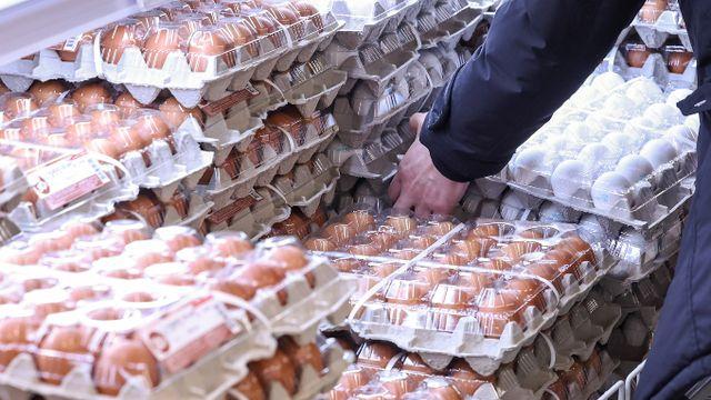 [생생장터] 계란 한판 6500원 돌파… 이번주 장바구니 물가