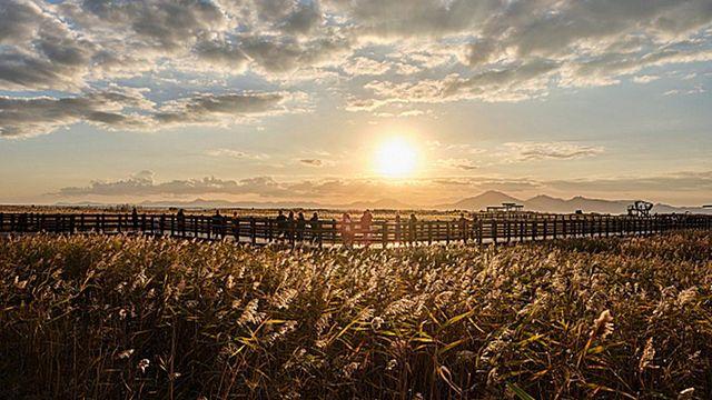 해질 때부터 해뜰 때까지... 밤새 걷는 부산 여행