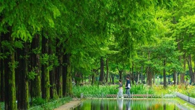 봄기운 가득한 서울, 야외에서 힐링할 나들이 명소는?