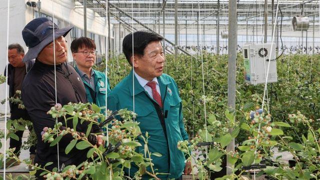 이상근 고성군수, 블루베리 농가 방문해 격려