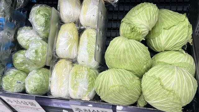 '금배추' 위에 양배추…한 포기 평균 6천원