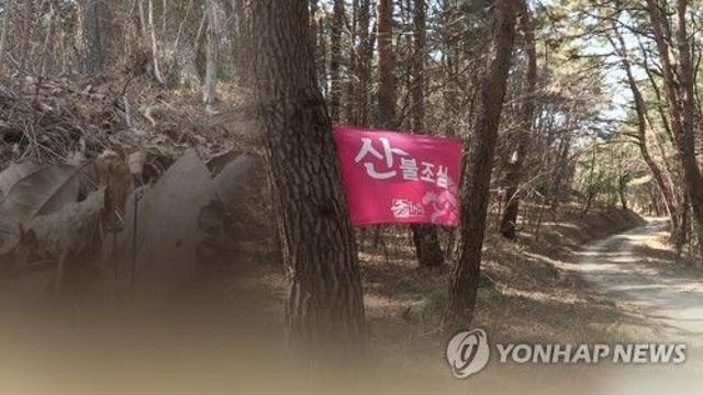보성서 산불 3건 잇따라 발생…대부분 진화 완료