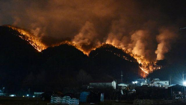 정부, 경남 산청군 특별재난지역 선포