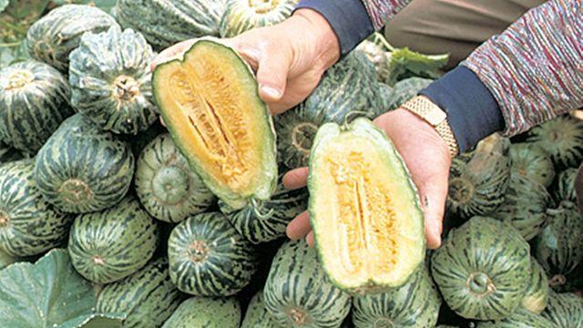 옛날엔 술 마시고 먹었는데…요즘은 보기 힘든 '100년 전통' 숙취해소 한국 과일
