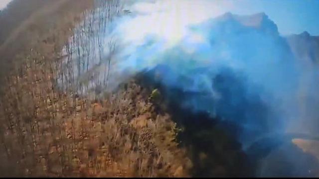 강원 정선 야산 산불, 헬기 5대 투입 진화 완료…0.5㏊ 소실(종합)