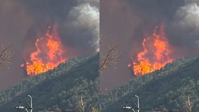 [속보] 정부, 울산·경북·경남 '산불 발생'에 재난사태 선포