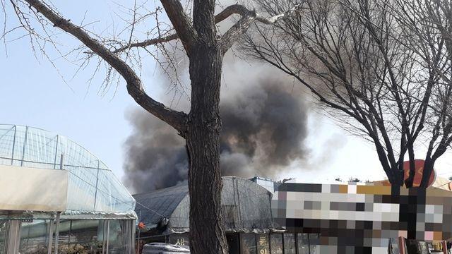 대구 연호네거리 비닐하우스 불…1명 부상