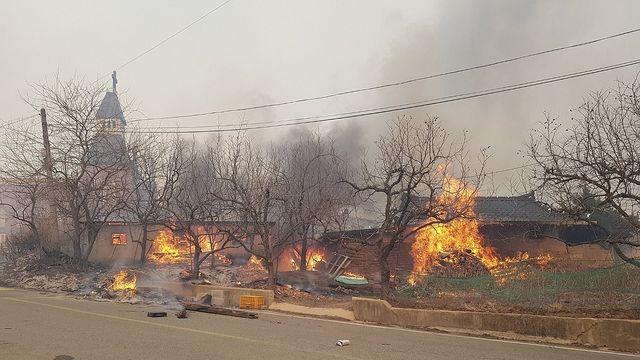 '남고북저' 기압계에 건조·강풍…동시다발 산불로 이어져