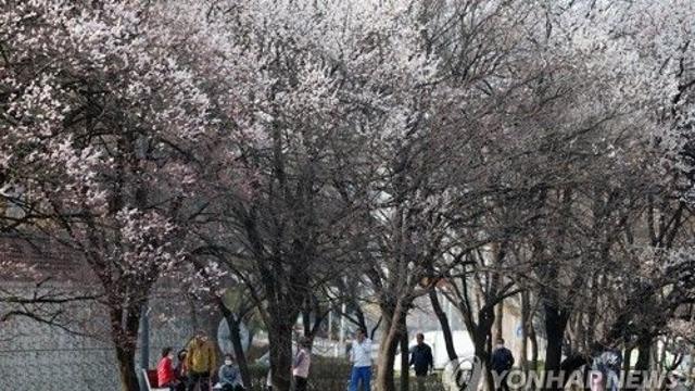 충북 맑다가 저녁부터 구름…미세먼지 '나쁨'