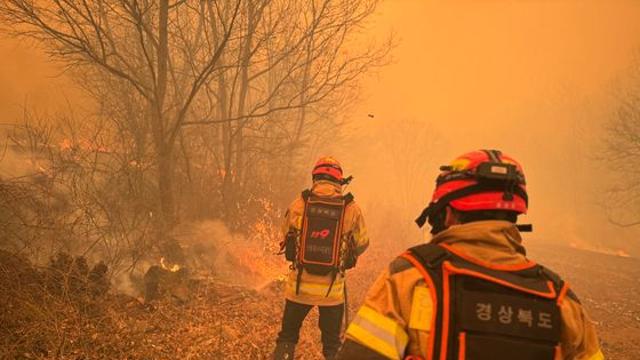 [속보] 의성 산불 원인은 성묘객 실화...