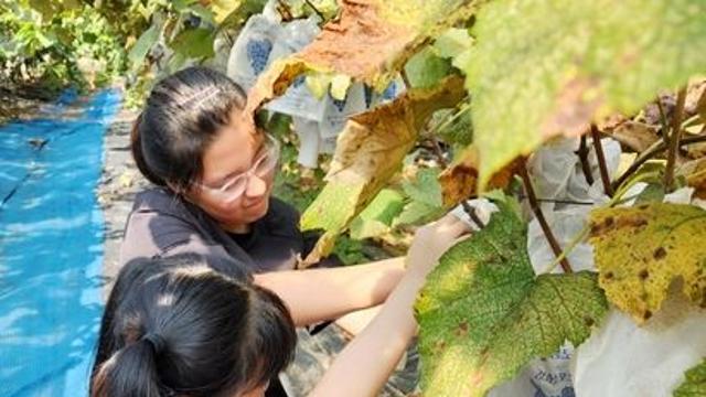 인천 강화군, 가족체류형 농촌유학으로 작은 학교 살린다