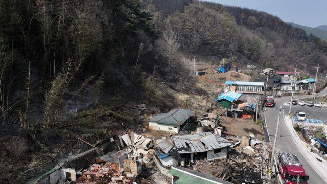 야속한 봄…축구장 4602개 녹지, 산불에 하루 만에 사라졌다