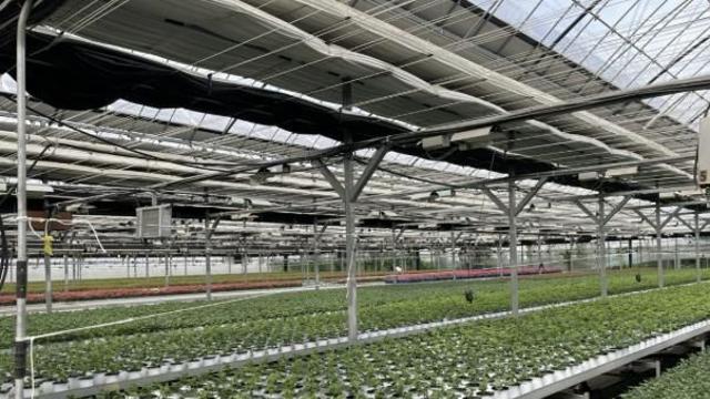 [기획]꽃의 도시 고양시, 1등 화훼도시의 기준을 만들다