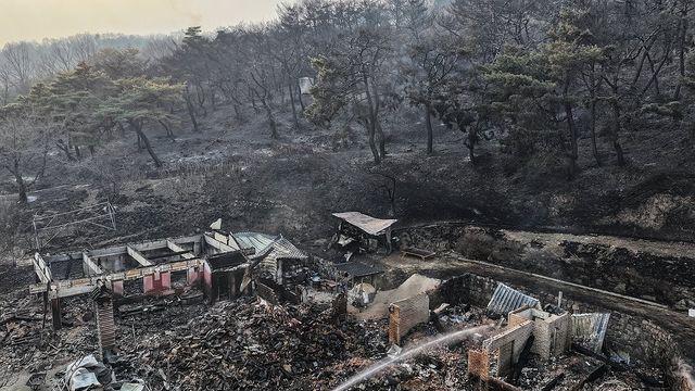 산불 난리인데 '전국 비'는 27일에야…내일부턴 다시 강풍까지