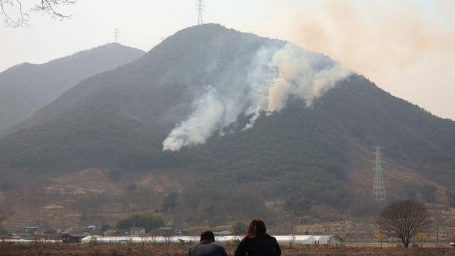 바람 타고 곳곳 번지는 산불에…900살 하동 은행나무 피해