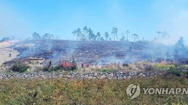 제주 영평동 야초지 화재…1시간 만에 진화