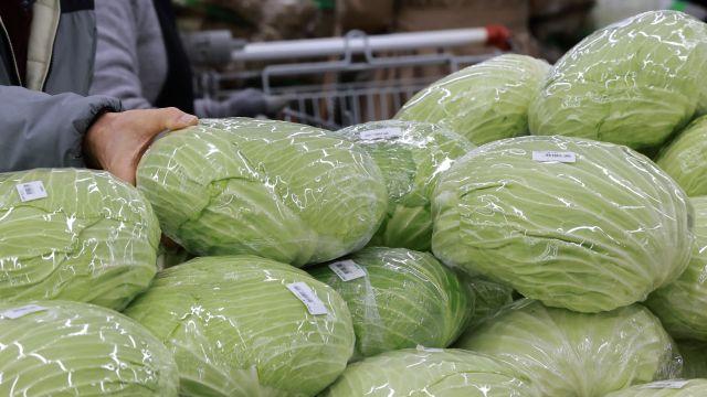 뛰는 ‘금배추’ 위에 '양배추'… 한 포기 평균 6천원 달해