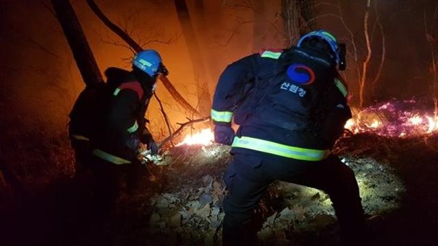 산불원인 행위자 