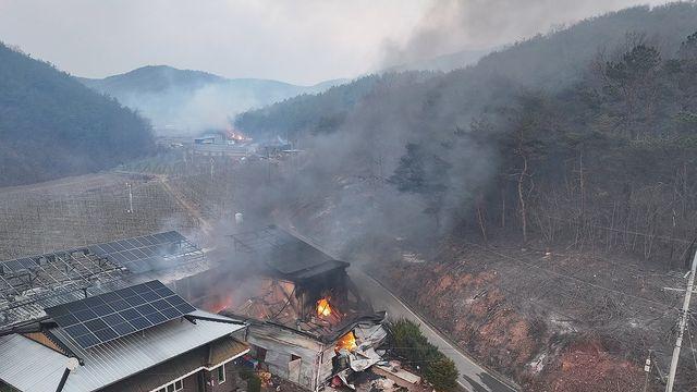 봄이면 되풀이되는 산불…사소한 부주의에 고목이 숱덩이로