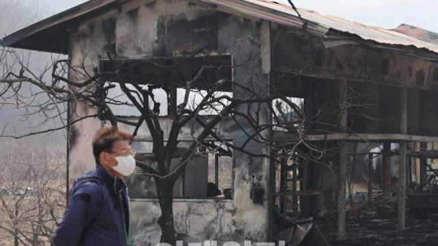 전국 곳곳서 산불 42건 발생…축구장 5811개 면적 태웠다