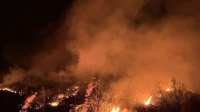 산청·의성·울주 등 곳곳 대형 산불…거센 바람에 진화 난항(종합)