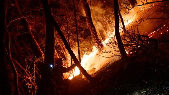전국 동시다발 덮친 대형 산불에 축구장 4600개 크기 산림 불타