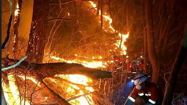 [속보] 산청·의성·울주 대형 산불 잇따라 발생, 진화율 더딘 이유