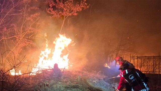 [속보] 몸집 키우는 의성 산불, 신계리 주민 '긴급 대피' 명령