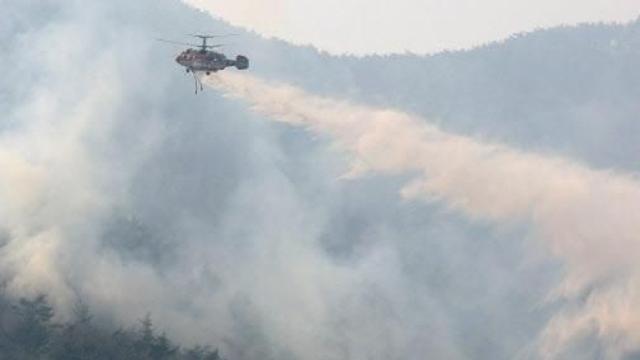 울산·경북·경남 산불 피해지역 특별재난지역 선포