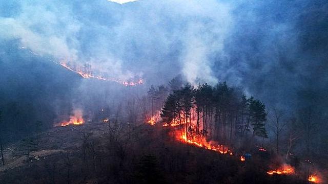 전국 곳곳서 대형 산불⋯건조+강풍에 ‘속수무책’