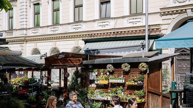 노천 카페부터 세계적인 미쉐린 레스토랑까지… 비엔나 봄 미식 가이드