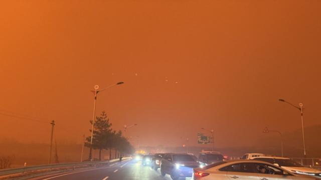 안동 산불 현황 사진 영상 보기 심각한 모습 난리가 났다 호주 LA 대형 재난 같은 상황에 모두가 할 말을 잃은 현재