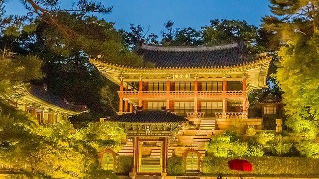 빛으로 물든 봄 밤, 2025 서울 고궁 행사 모음 #가볼만한곳